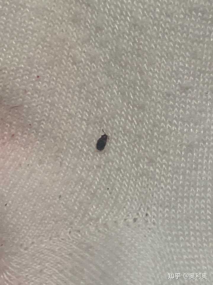 最新资讯 第78页