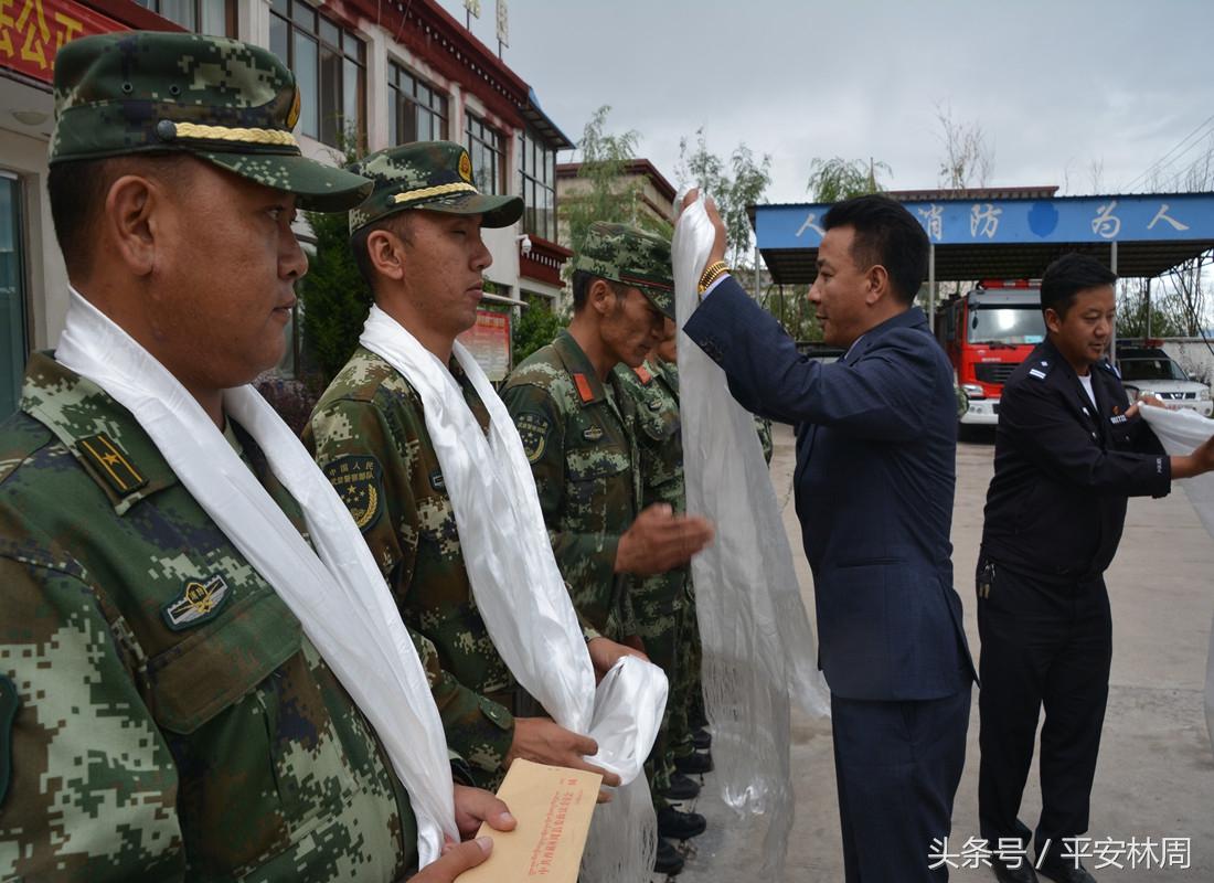 武警检阅视频武警检阅视频，荣耀与力量的展现